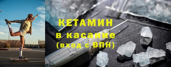 трава Корсаков