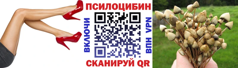 Купить закладки  Губкинский  Галлюциногенные грибы ЛСД 
